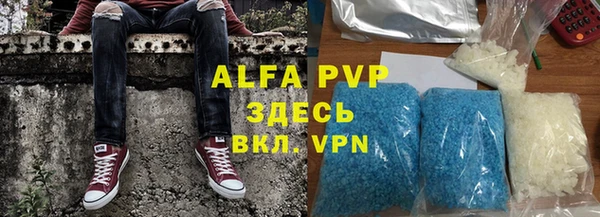 сатива Белокуриха