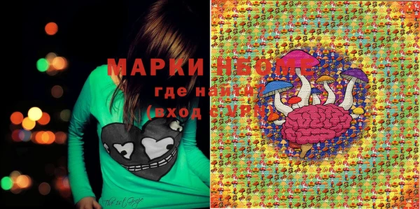 сатива Белокуриха