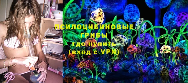 сатива Белокуриха